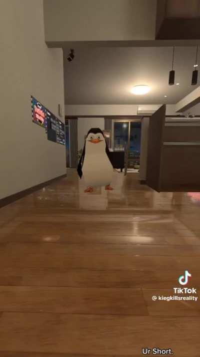 Penguin home invasion
