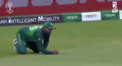 Praise the camera man for this treasure.