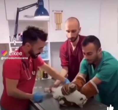 The camera never lies.