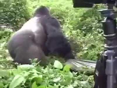 Situaciones que te matan el alma