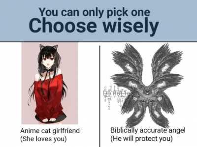 there is only one correct choice