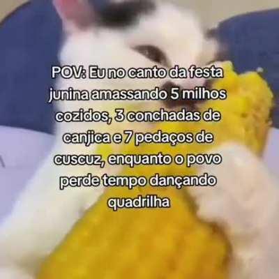 eu_nvr