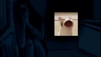 I'm 15 and this is yeet