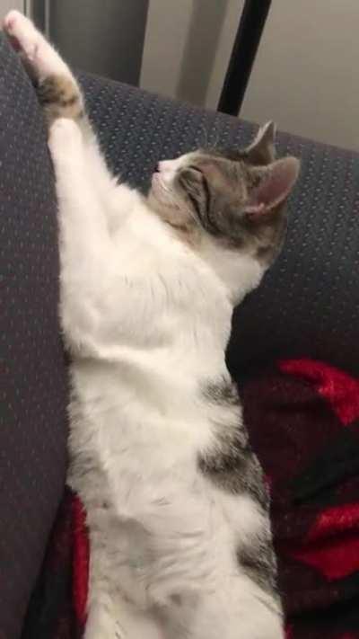 Learning she can sleep in (almost) any position