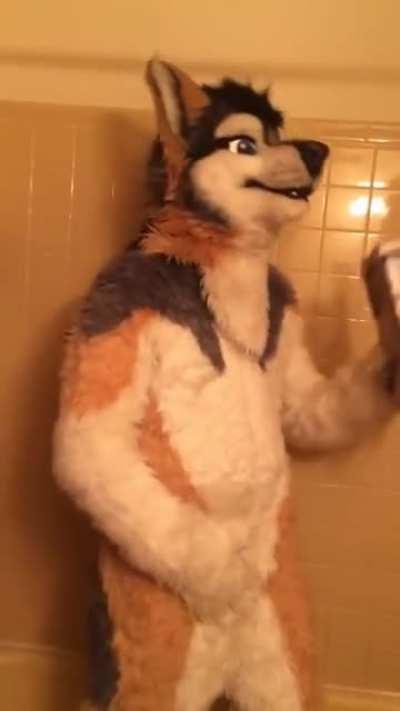 Fursed_FrostedFlakes