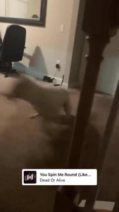 you spin me right round, baby 😳