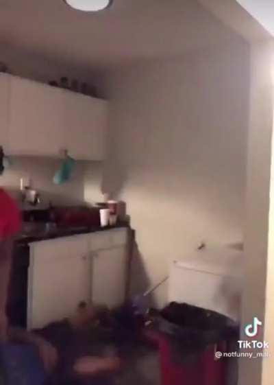 I haven’t seen this here yet