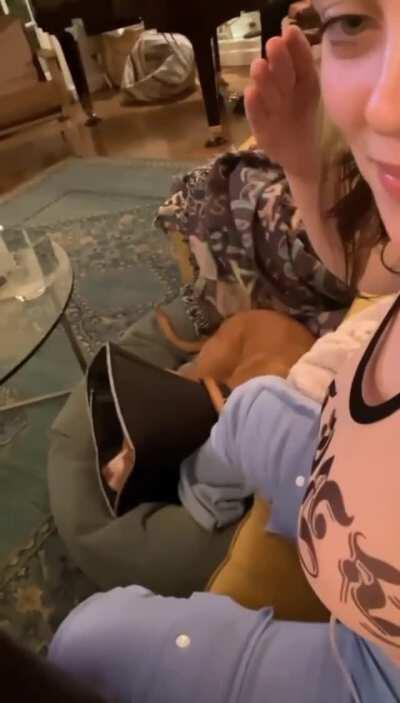 Billie Eilish slapping her tits compilation