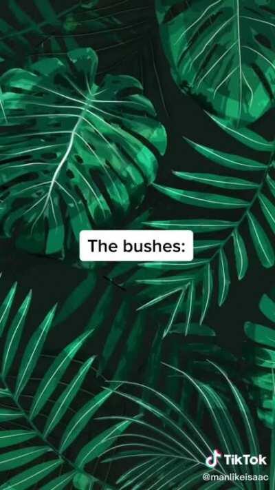 Everybody gangstar till the bushes start talking