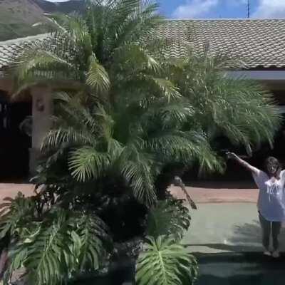 Jenna & Justine 2016 Vlog