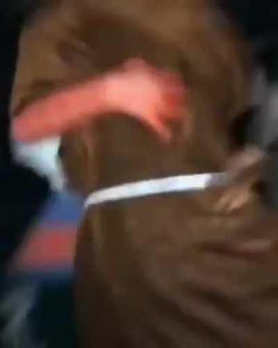 spider-man fights jesus to bring stan lee back to life