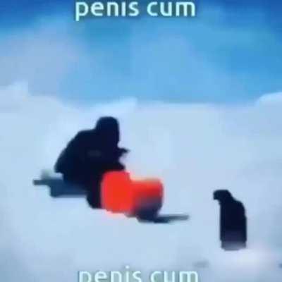 Penis cum