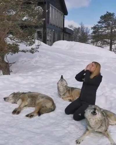 r/WolvesAreBigYo now has 3 moderators