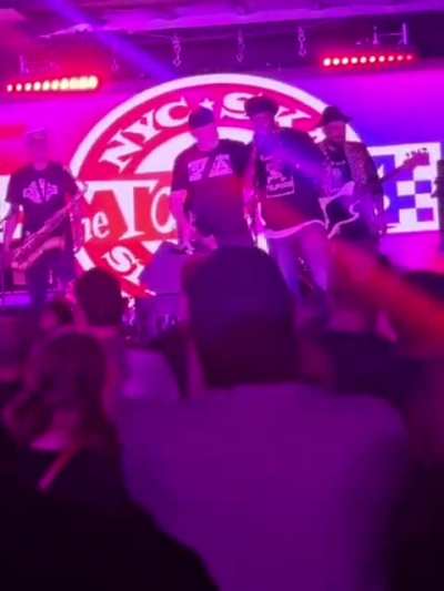 Pilfers Reunion shows 2025