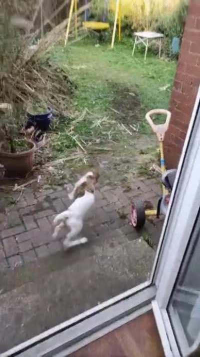 at this moment he knew, he fuc*ed up