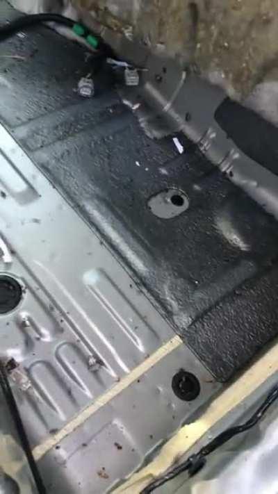 They literally had kids sitting in this car too.