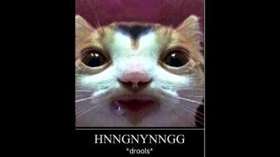 me when i see girl 😳