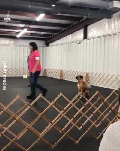 He was supposed to run and sit