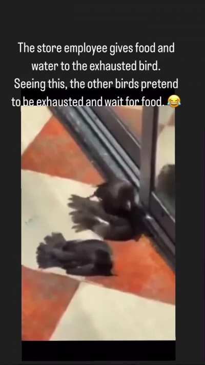 Give em a Nobel prize 🏆 
