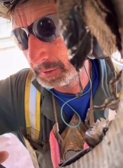 Normal day at the office