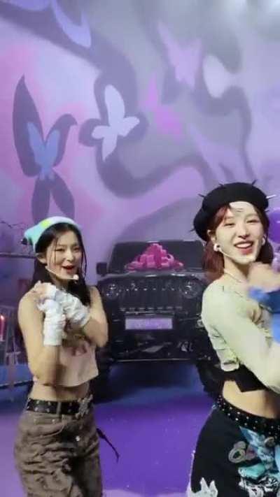 221208 Seulgi & Wendy - Birthday (Dance Challenge)