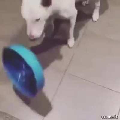 I wonder if he even tried