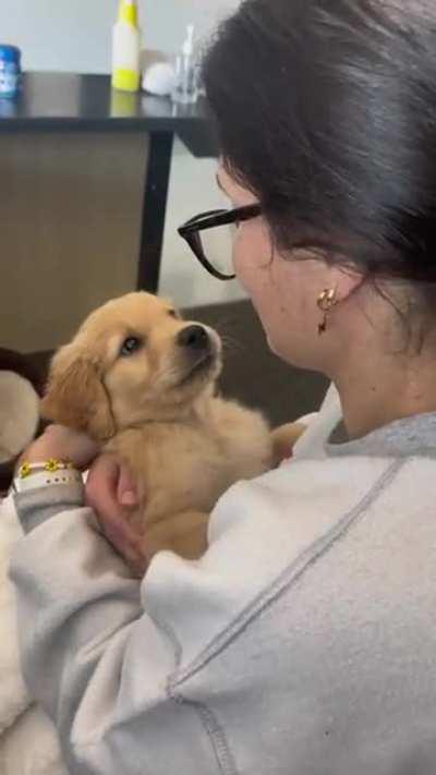 The love in the puppies eyes