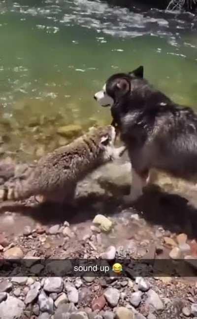 hey little mamma, let me whisper in your ear