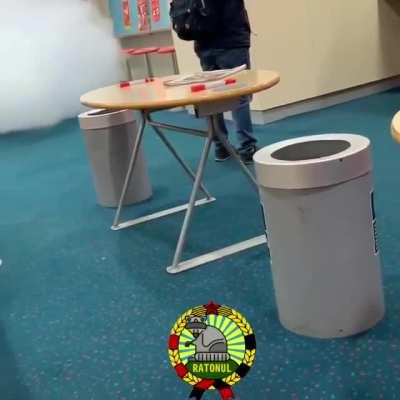 Col dă polis bradă