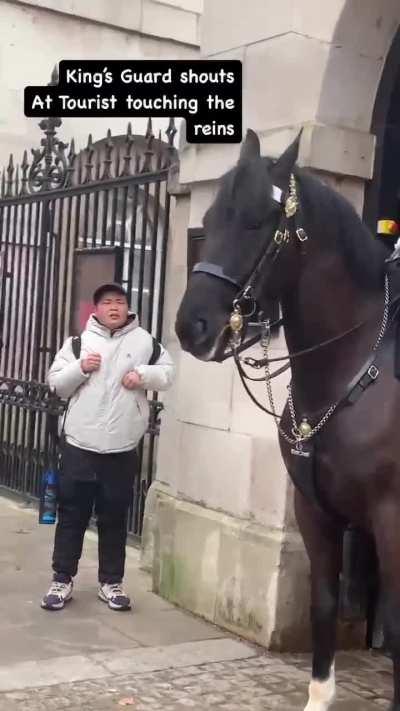 Chinese tourist was frightened when the guard yelled him to get off the rein: &ldquo;Why shouting so loud?!&rdquo;