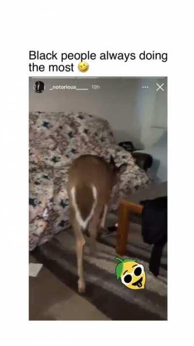 Just walked right in