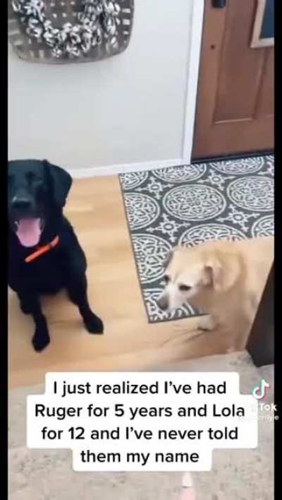 they were like “wait..what..she had a name?”