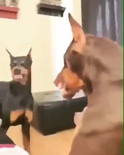 “Stop fighting please”