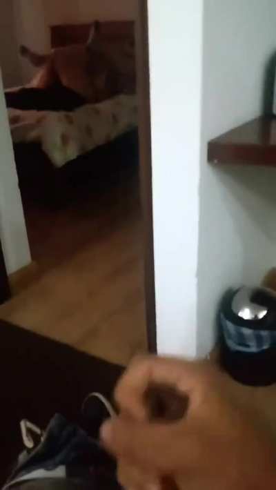 She asked her husband politely for the roo[M], she clearly wanted something much bigger