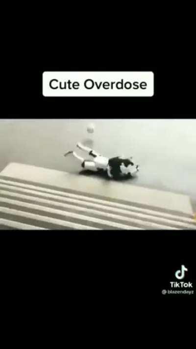 ......（//･_･//)