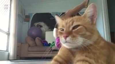 THE place where he wanted to be