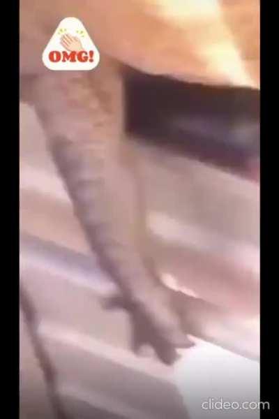 He is alive. I think...