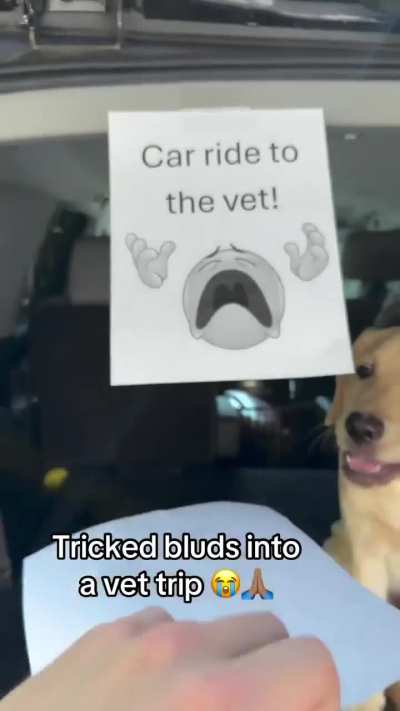 Dawgs got tricked 🤣🫵