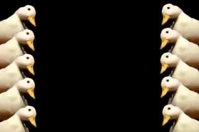 Sem título só olha o vídeo