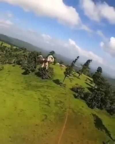 Последние секунды жертвы