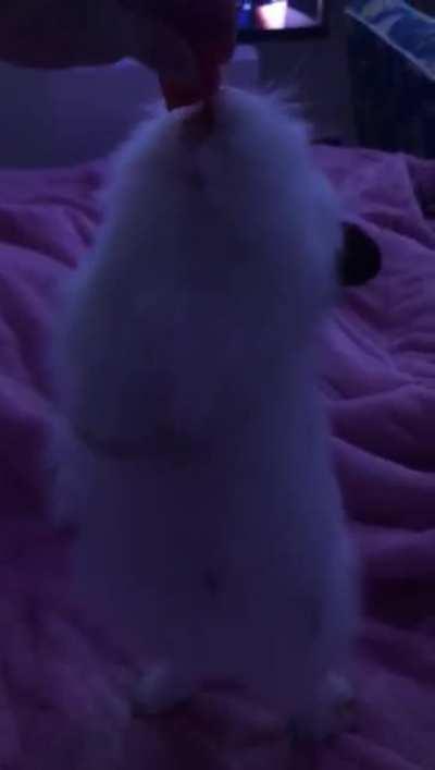 He fell so cutely 🥺