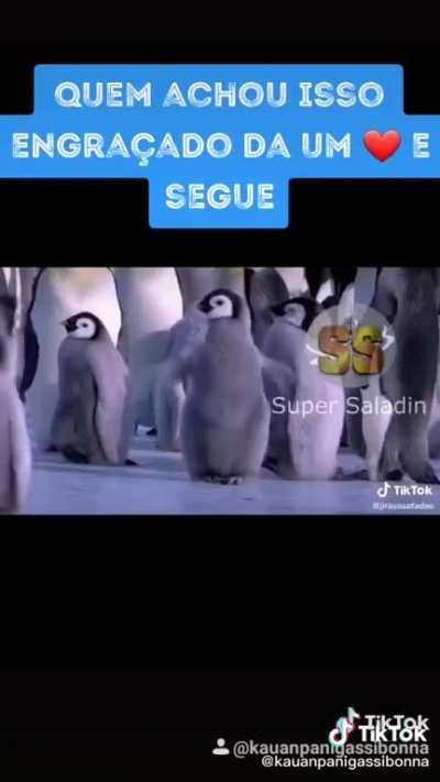 HUEstation - Video #7545