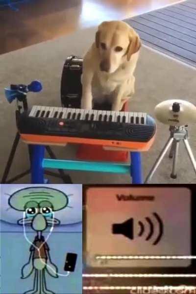 this had me in tears😢😢😢