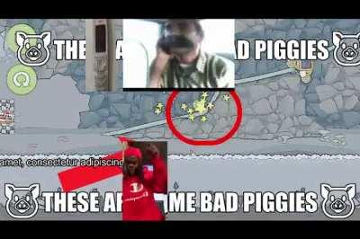 free bad piggies download punjabi!!111-- funny kurdish video with amogus for 99+;;; free whatsapp 2 download no virus pirate sus:::: free legal copy of bad piggies 1982 instal on nokia free rington.