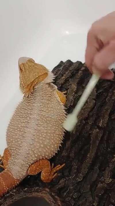 🛀🪥🐉Tell me this boy is not SPOILED...