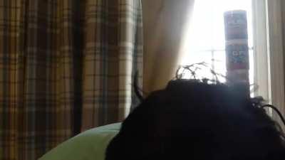 When someone says the cannon ending is better than AoTNR