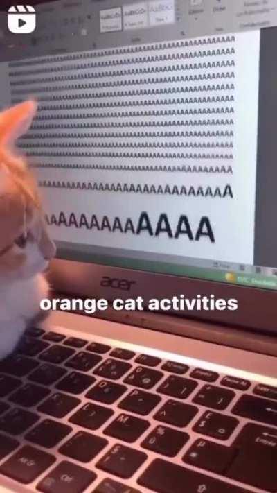 poly(A) polymerase hard at work