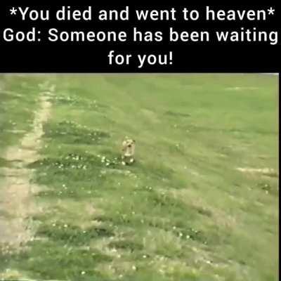 Well this is emotional. 