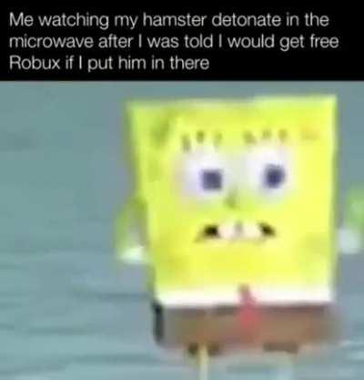 but the free robux!
