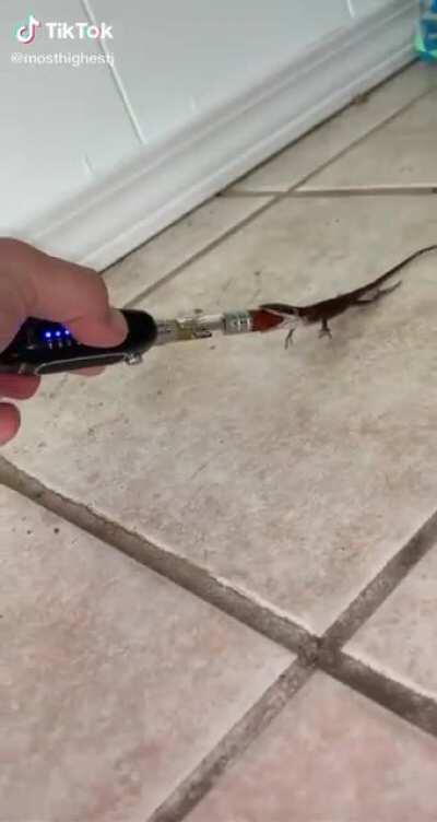 Y’all seen this lmao